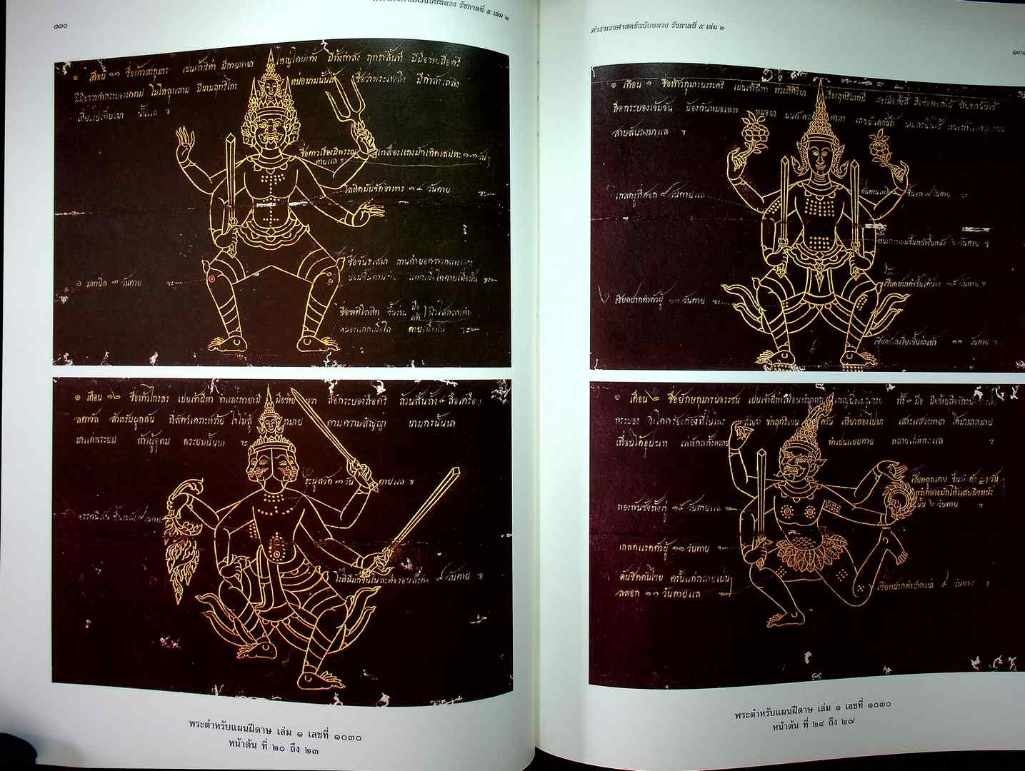 ตำราเวชศาสตร์ฉบับหลวง รัชกาลที่ ๕ เล่ม ๑ และ เล่ม ๒