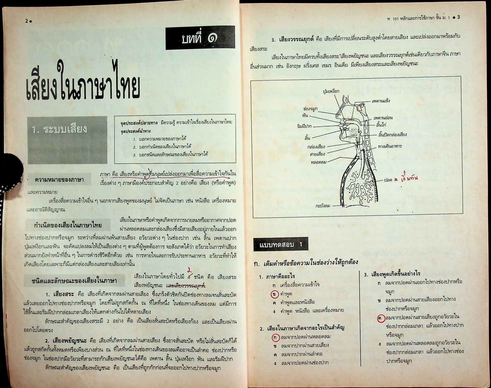 คู่มือครู-เฉลย หนังสือเรียน ภาษาไทย หลักภาษา การใช้ภาษา การพิจารณาหนังสือ ท ๑๐๑ - ท ๑๐๒ สำหรับชั้นมัธยมศึกษาปีที่ ๑