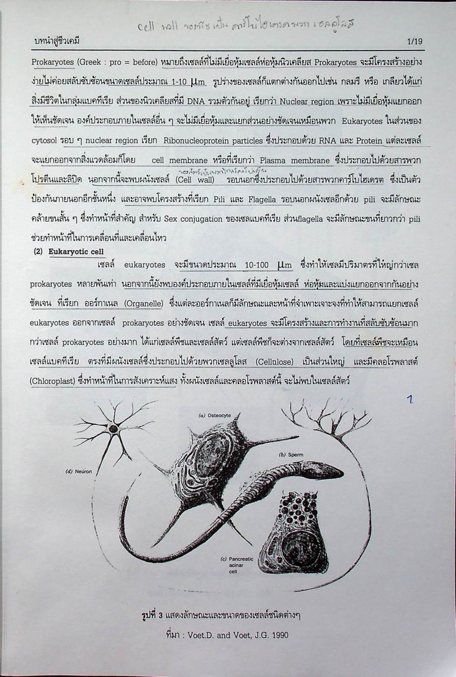 คู่มือการสอนชีวเคมี เล่ม 1 Biochemistry Part I