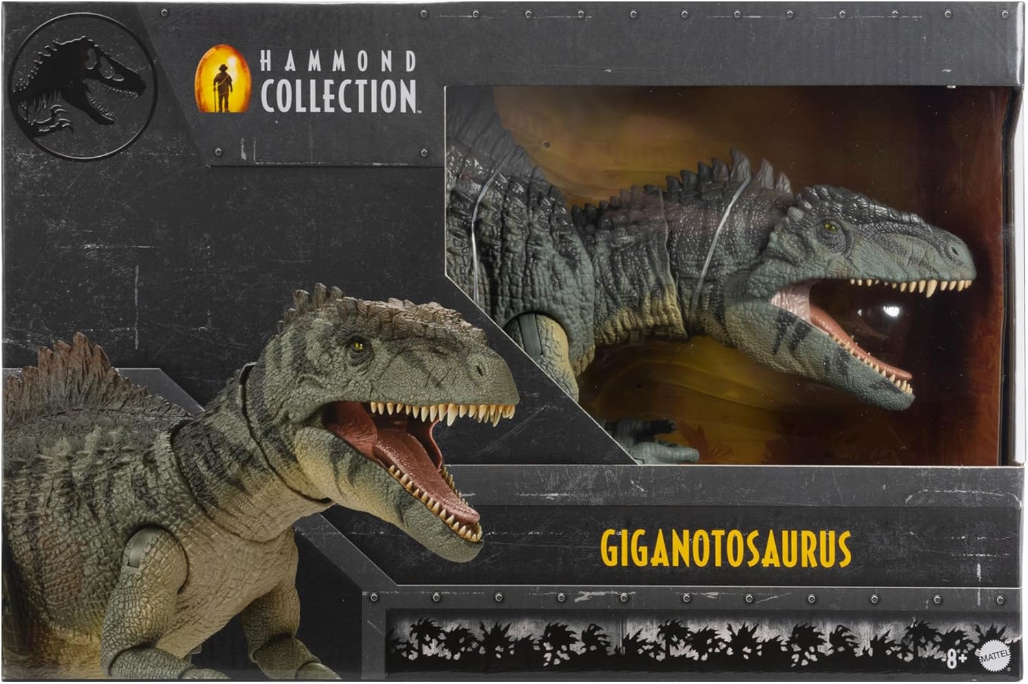 **MTS Toys**Mattel Jurassic World Hammond Collection : HXF57 Giganotosaurus [ความยาวจากหัวถึงหาง 72 ซ.ม.]