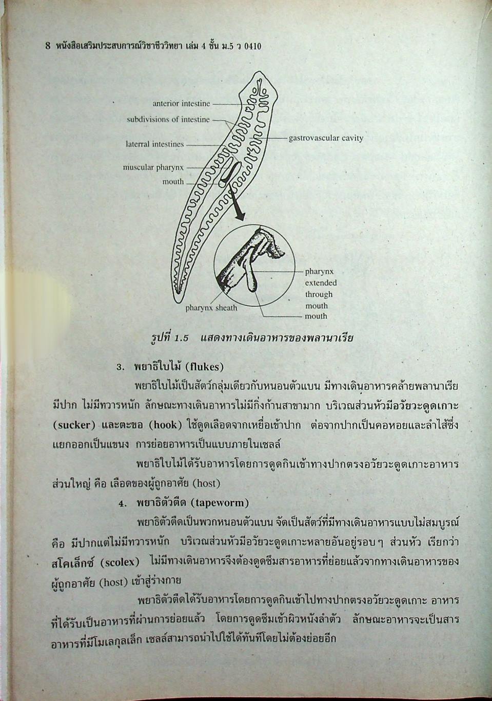 หนังสือเสริมประสบการณ์วิชาชีววิทยา เล่ม 4 ชั้น ม.5 ว 0410