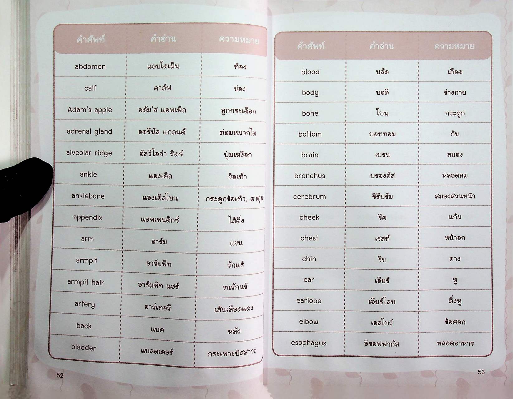 ศัพท์อังกฤษ 6,000 คำ ไม่รู้...ไม่ได้