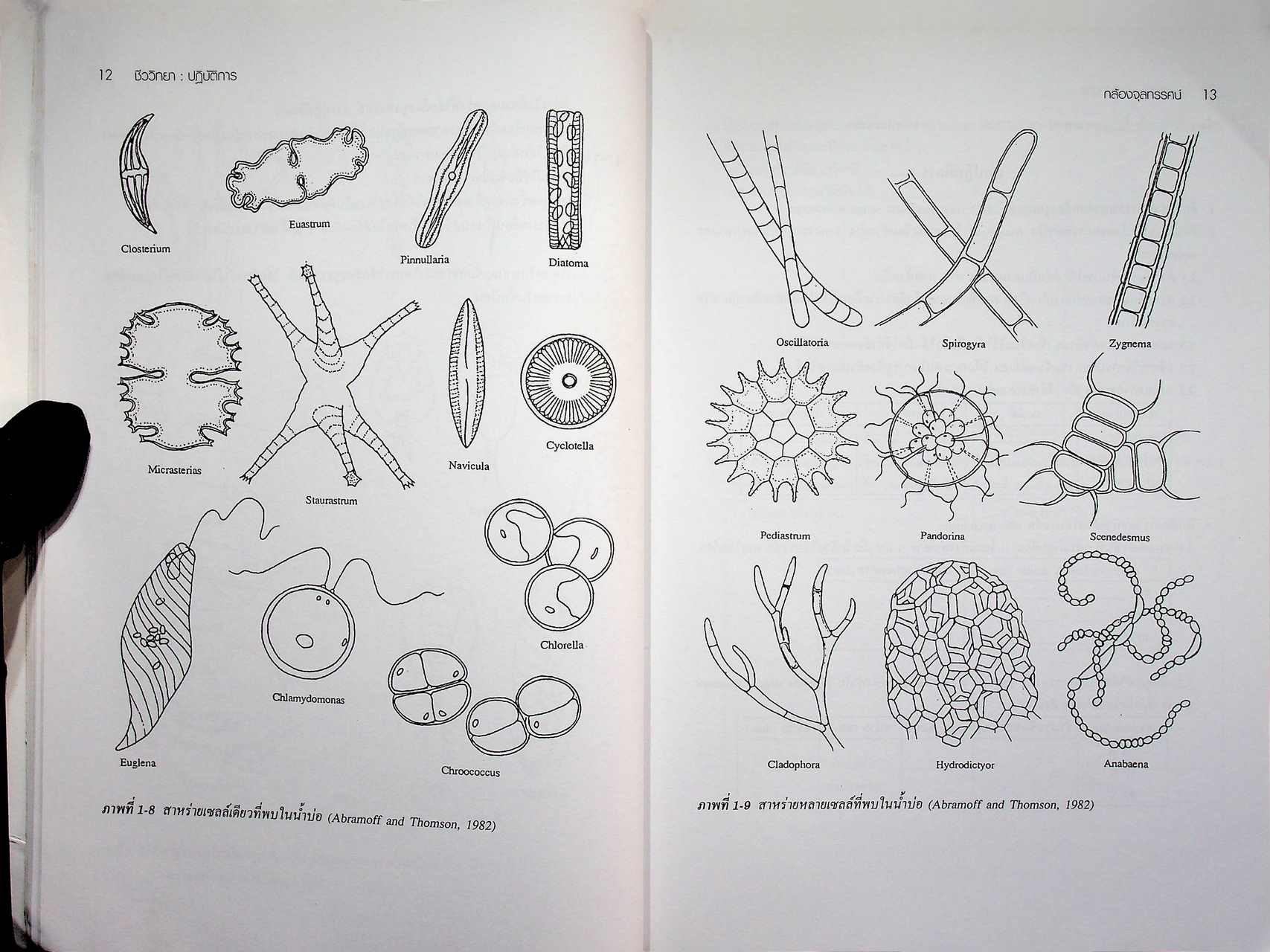 ชีววิทยา : ปฏิบัติการ
