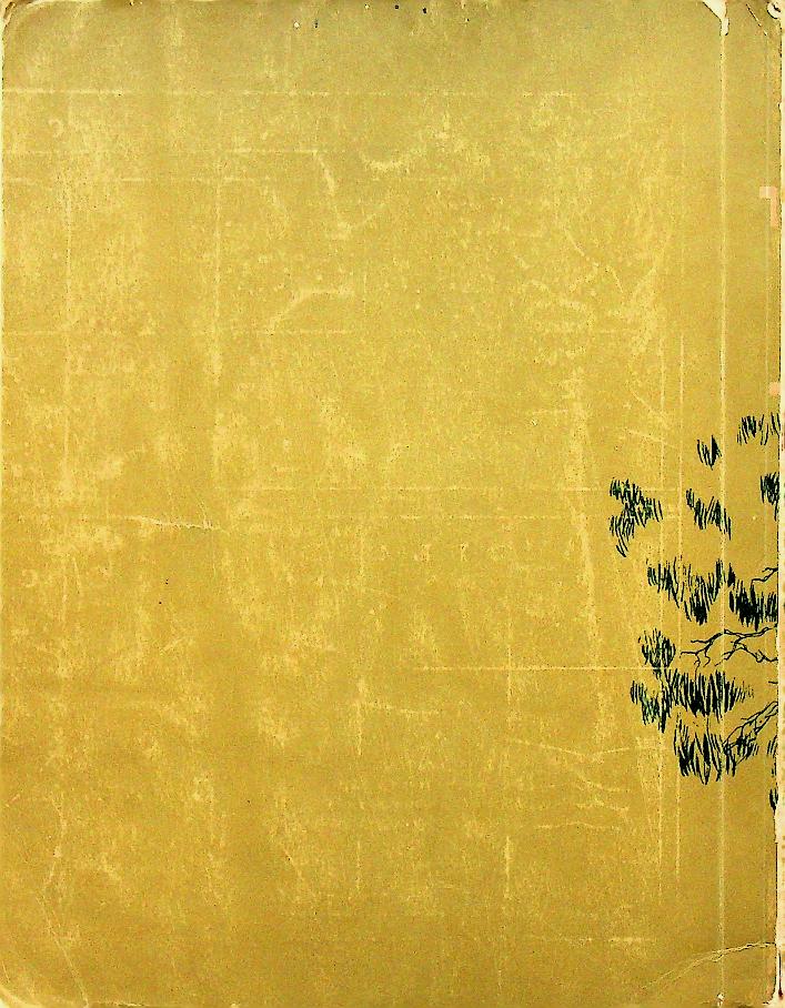 ออสเตรเลีย