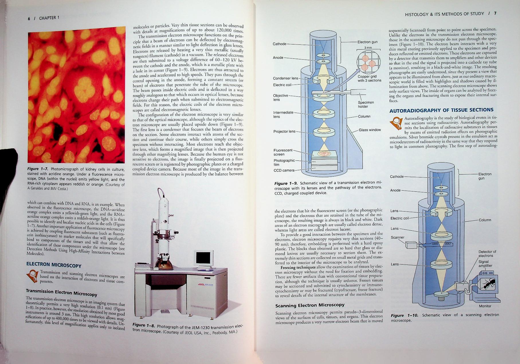 basic histology TEXT & ATLAS