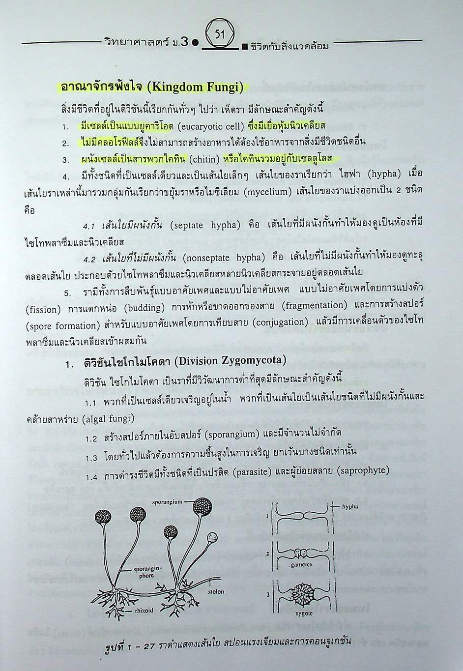 คู่มือเตรียมสอบสาระการเรียนรู้พื้นฐาน วิทยาศาสตร์ ม.3 ชีวิตกับสิ่งแวดล้อม สิ่งมีชีวิตกับกระบวนการดำรงชีวิต