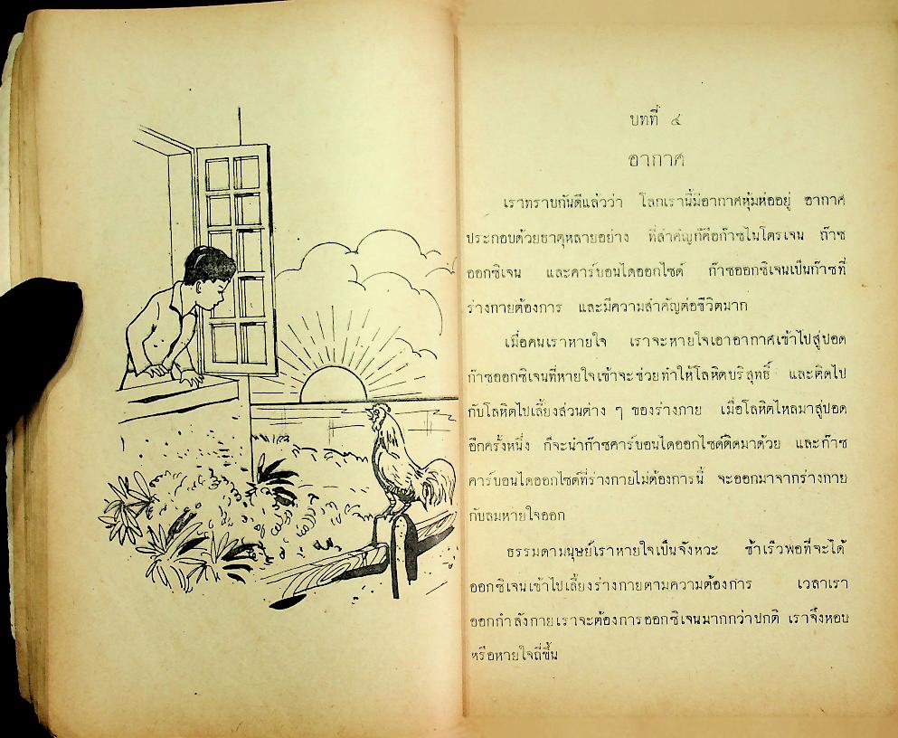 แบบเรียนพลานามัย วิชา สุขศึกษา ชั้นประถมปีที่ ๕