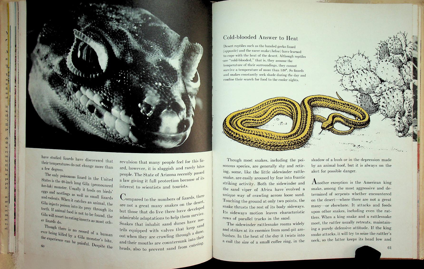 Young Readers Edition : THE DESERT