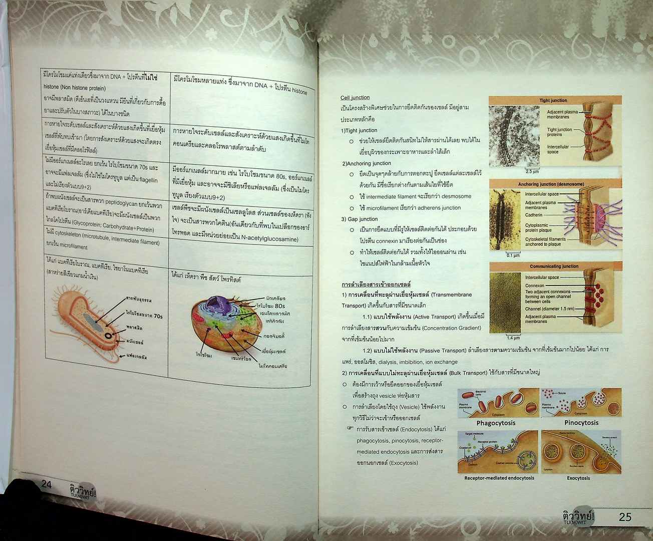 สรุปเนื้อหาชีววิทยา ม.ปลาย BIOLOGY