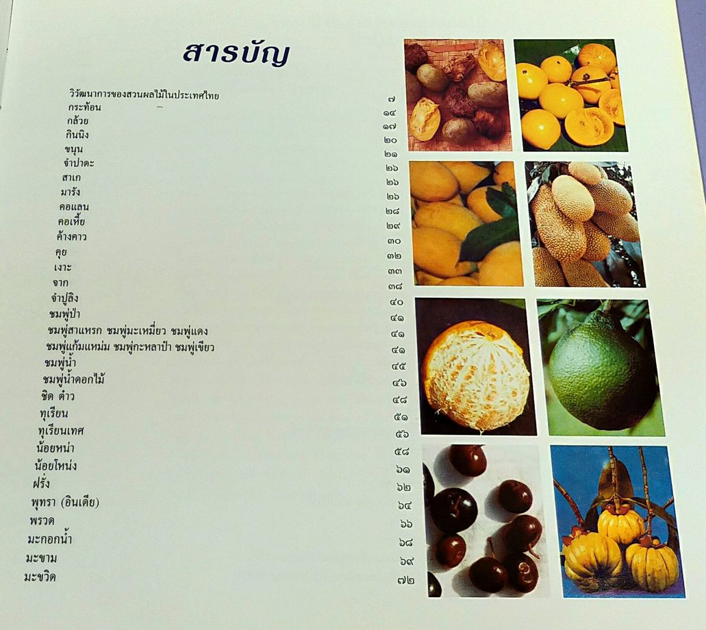 ผลไม้ไทยๆ