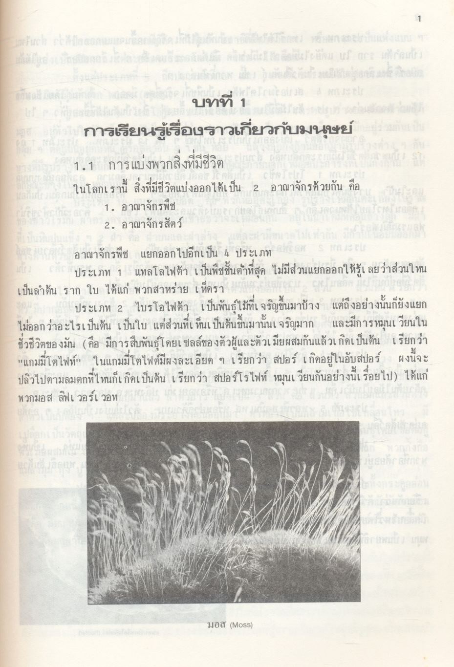 หลักมนุษยศาสตร์