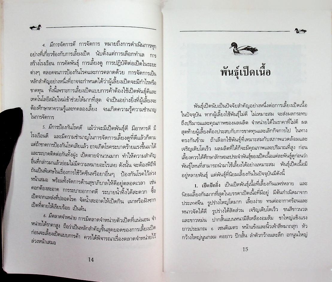 การเลี้ยงเป็ดเนื้อ