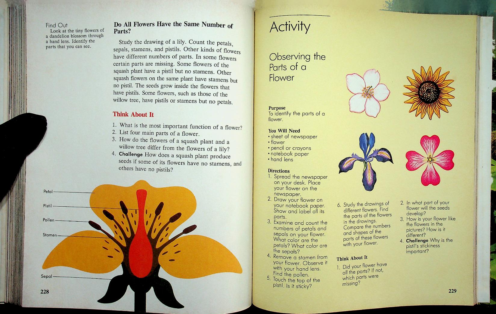 Scott, Foresman Science