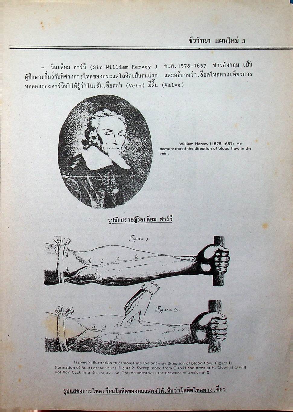 ชีววิทยา ม.4 เล่ม 1 ว 441