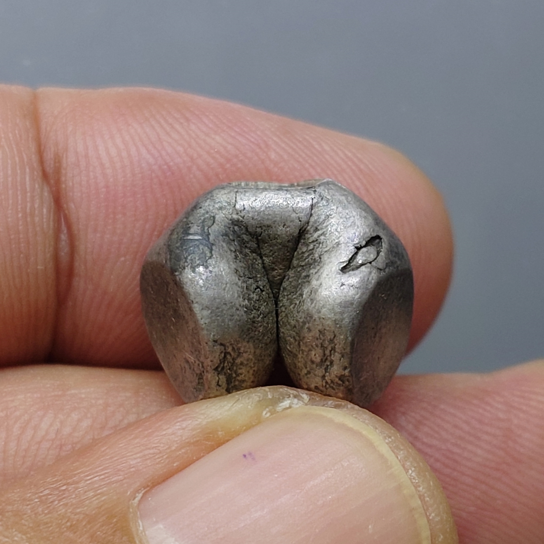 พดด้วง ขนาด 1 บาท สมัยกรุงศรีอยุธยา ตราราชวัตร 9 จุด สภาพสวย