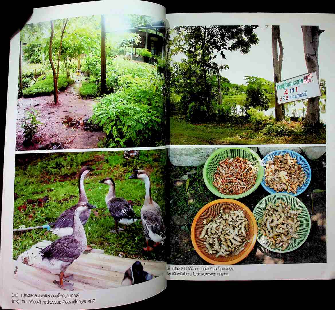 แบบอย่าง..และแนวทางปฎิบัติการ เกษตรประณีต เกษตรหลังเกษียณ