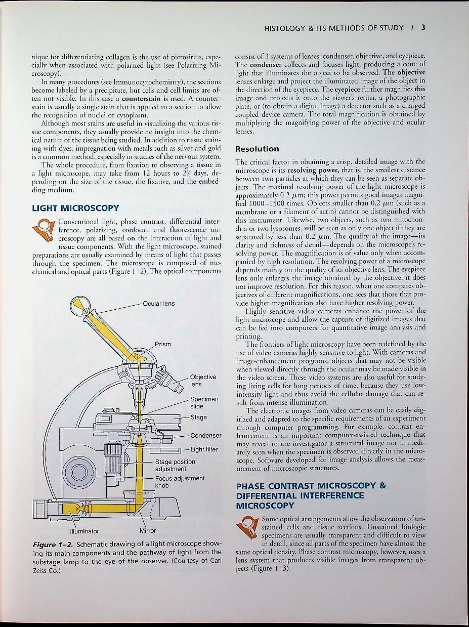 basic histology TEXT & ATLAS