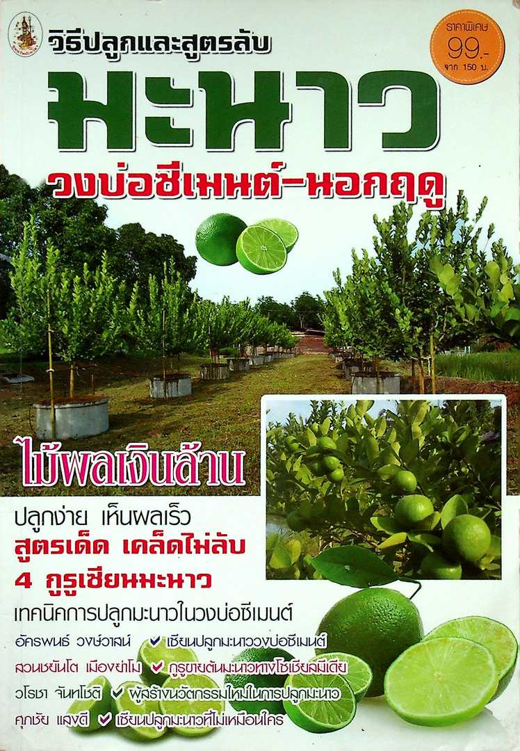 วิธีปลูกและสูตรลับมะนาว วงบ่อซีเมนต์-นอกฤดู