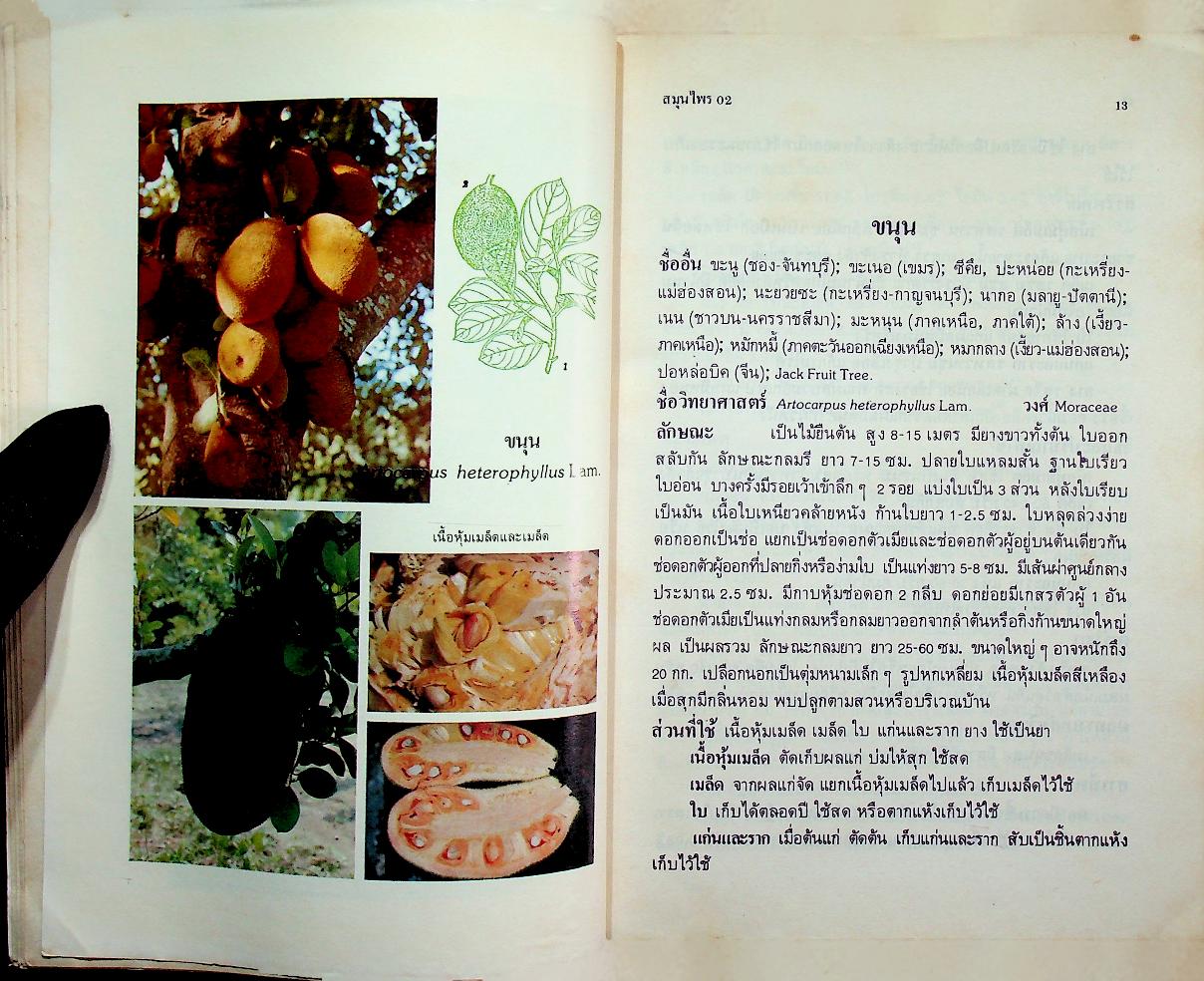 สมุนไพร อันดับที่ 02 โครงการศึกษาวิจัยสมุนไพร