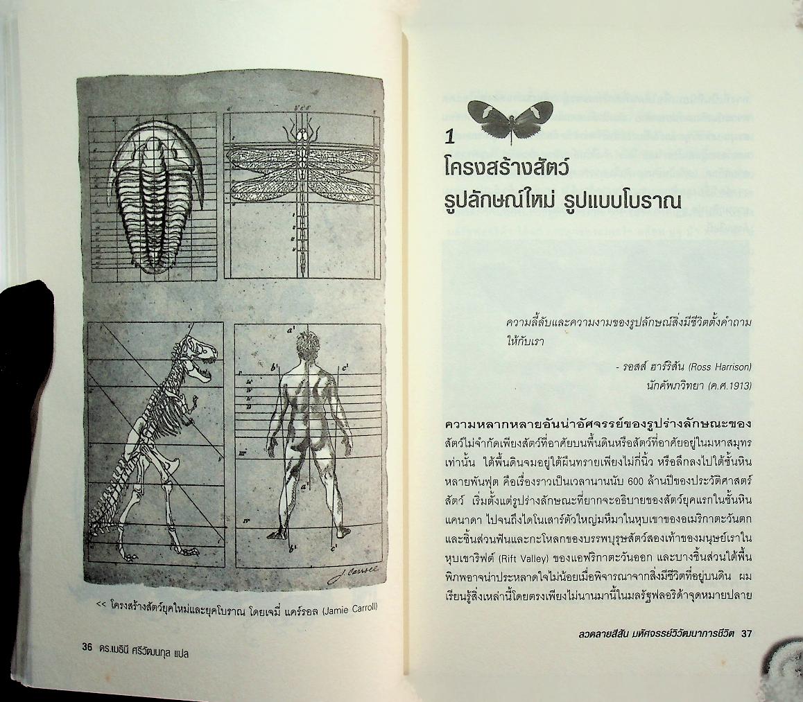 ลวดลายสีสัน มหัศจรรย์วิวัฒนาการชีวิต : Endless Forms Most Beautiful