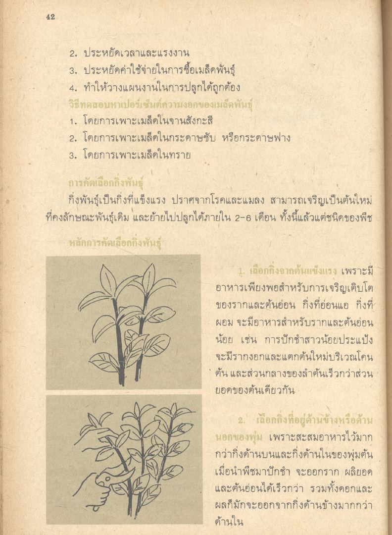 หนังสือเรียนทักษะกระบวนการและแบบทดสอบ กลุ่มการงานพื้นฐานอาชีพ งานเกษตร ป.๕