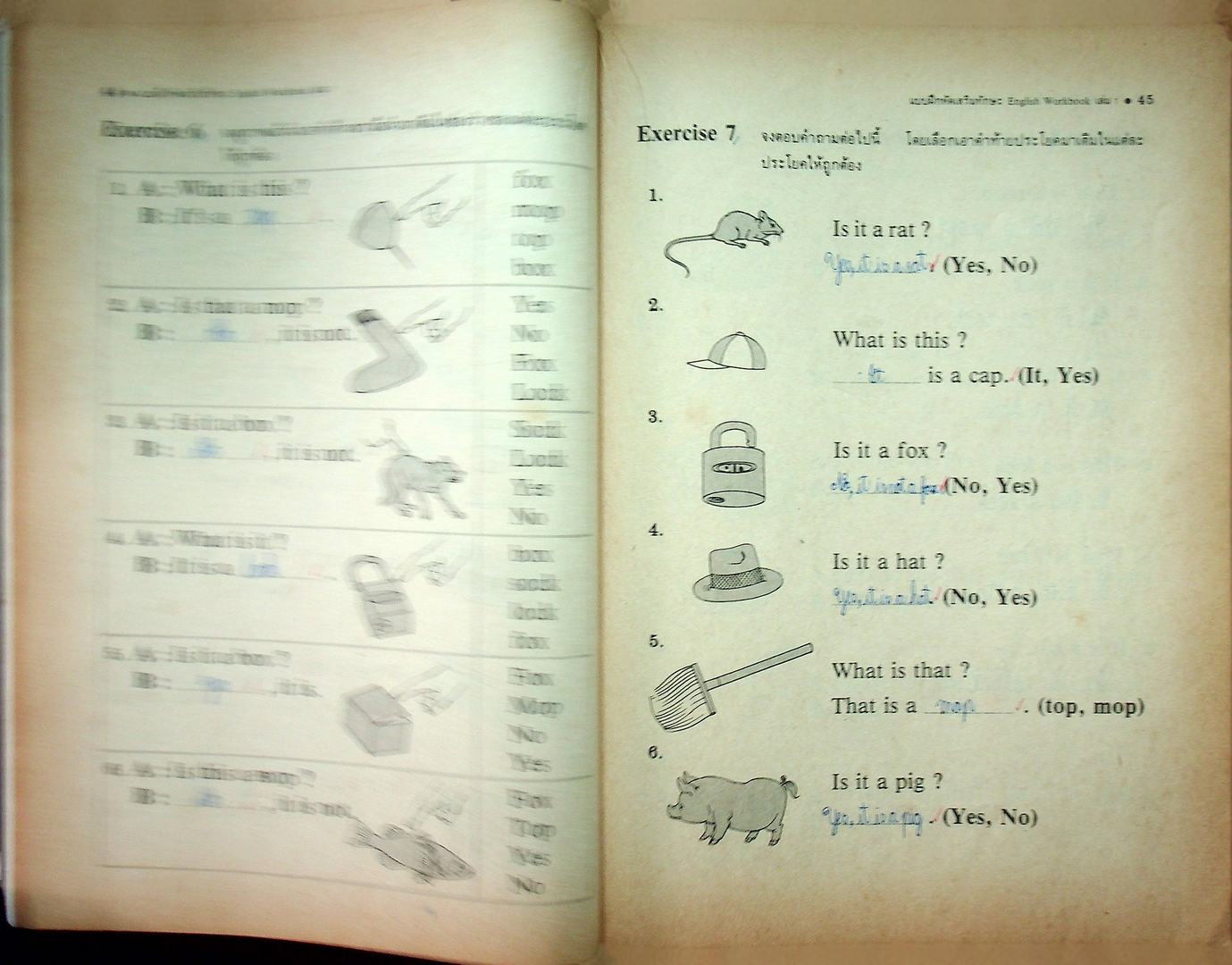 แบบฝึกหัดเสริมทักษะสำหรับ ENGLISH IS FUN BOOK 1 PRATOM 5-1
