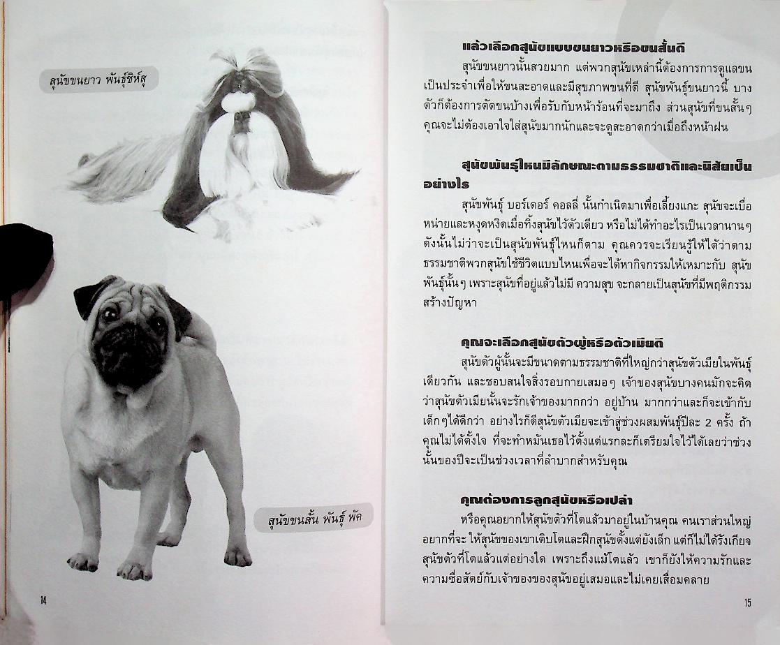 คู่มือการเลือกซื้อสุนัข