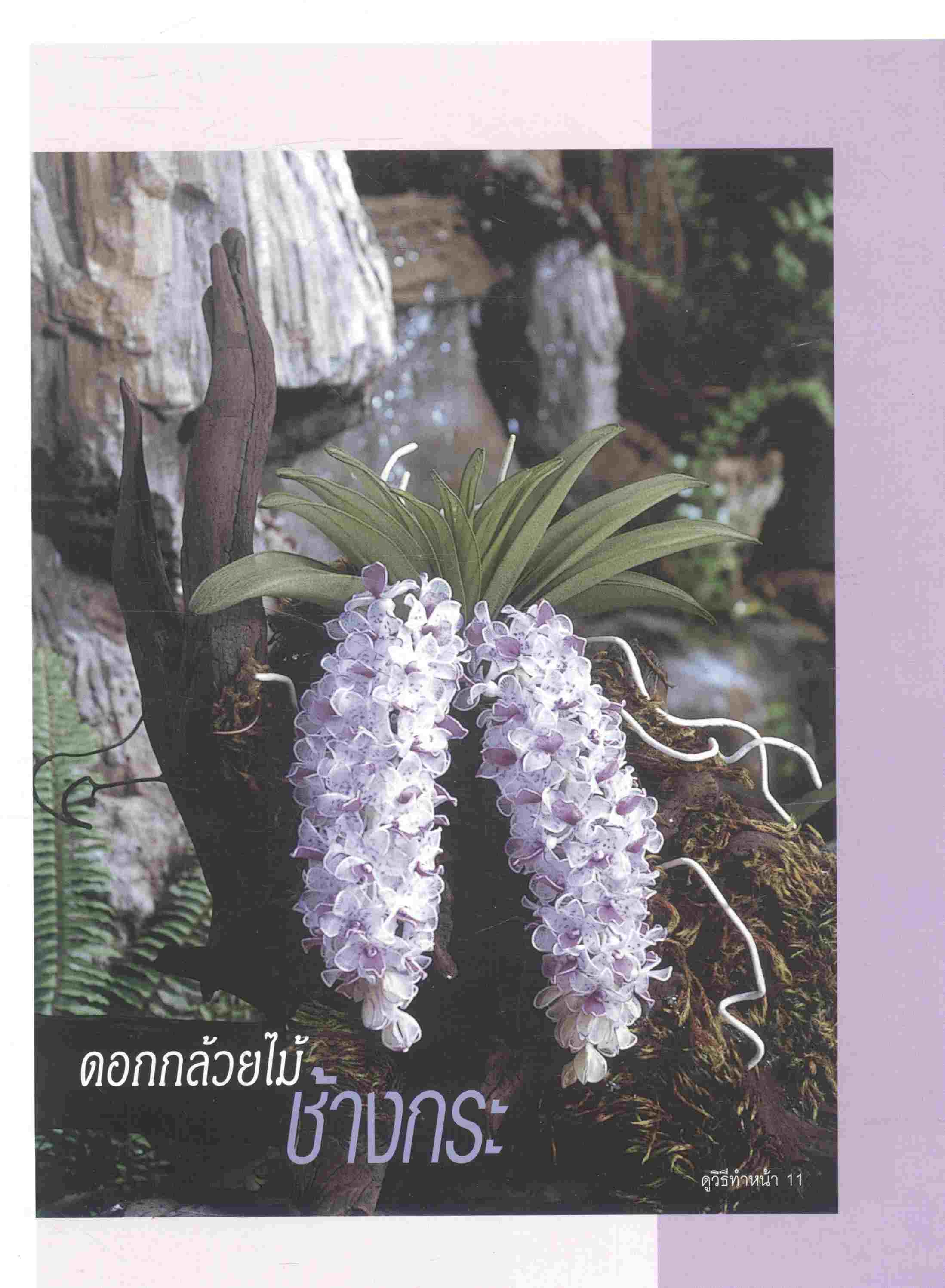 งานประดิษฐ์จากเนื้อถุงน่อง ฉบับที่ 4 เชอรีล่อน 108 ไอเดีย