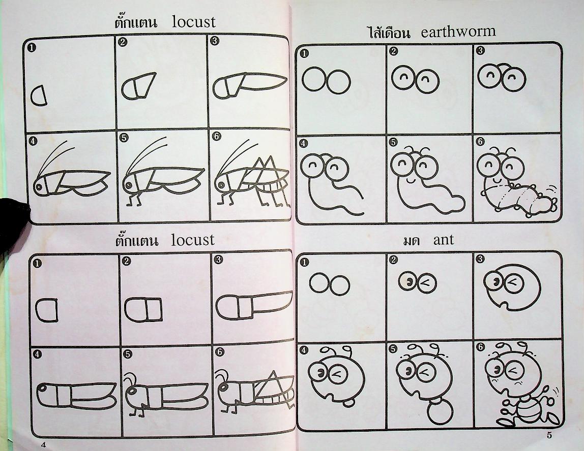 หัดวาดการ์ตูน 5 รูปแมลง