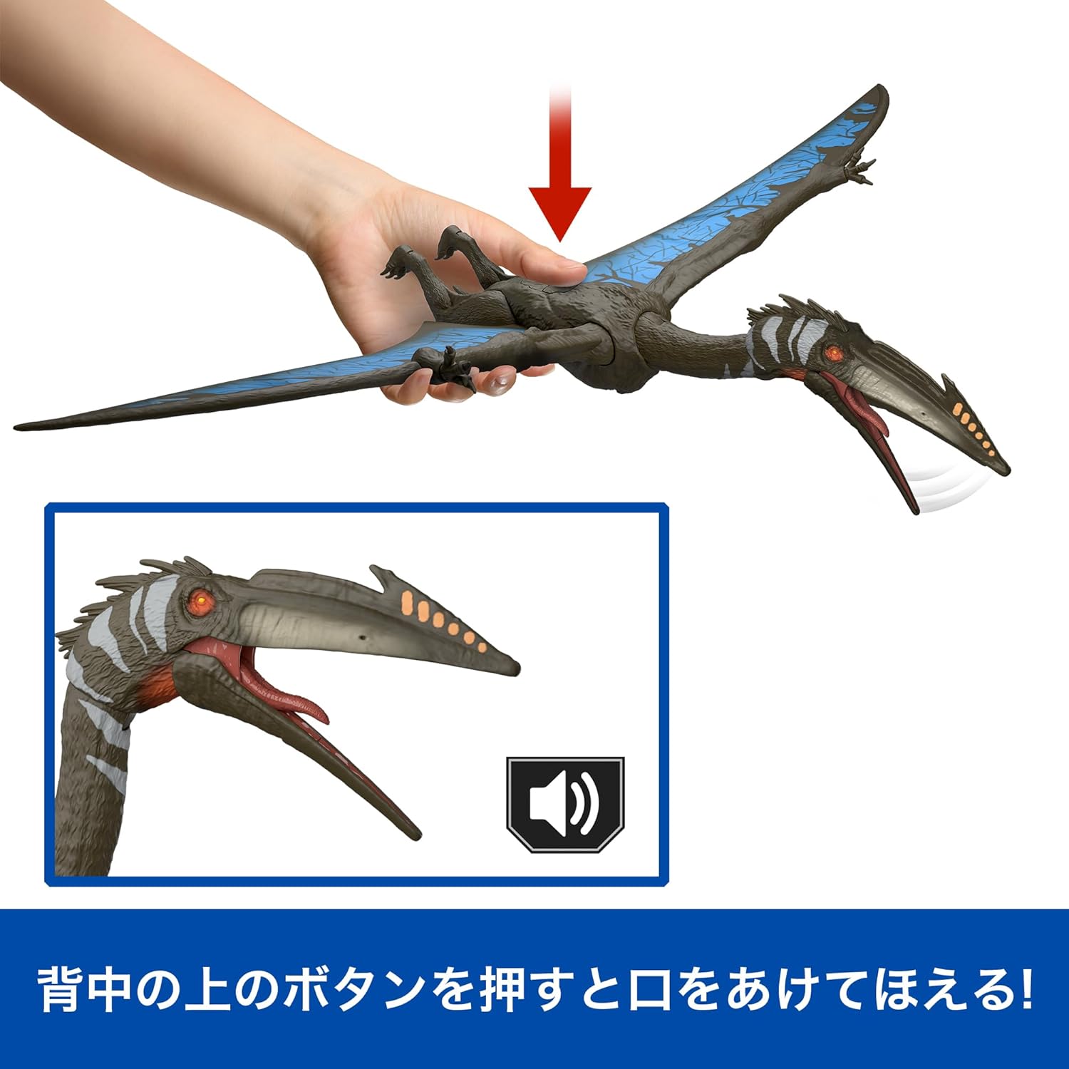 **MTS Toys**Mattel Jurassic World Rebirth : JCG27 Quetzalcoatlus [ความยาวจากปลายปีกซ้ายไปขวา 63 ซ.ม.]