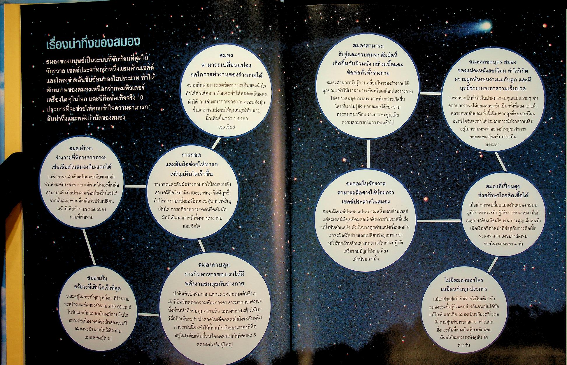 เพิ่มประสิทธิภาพพลังสมอง