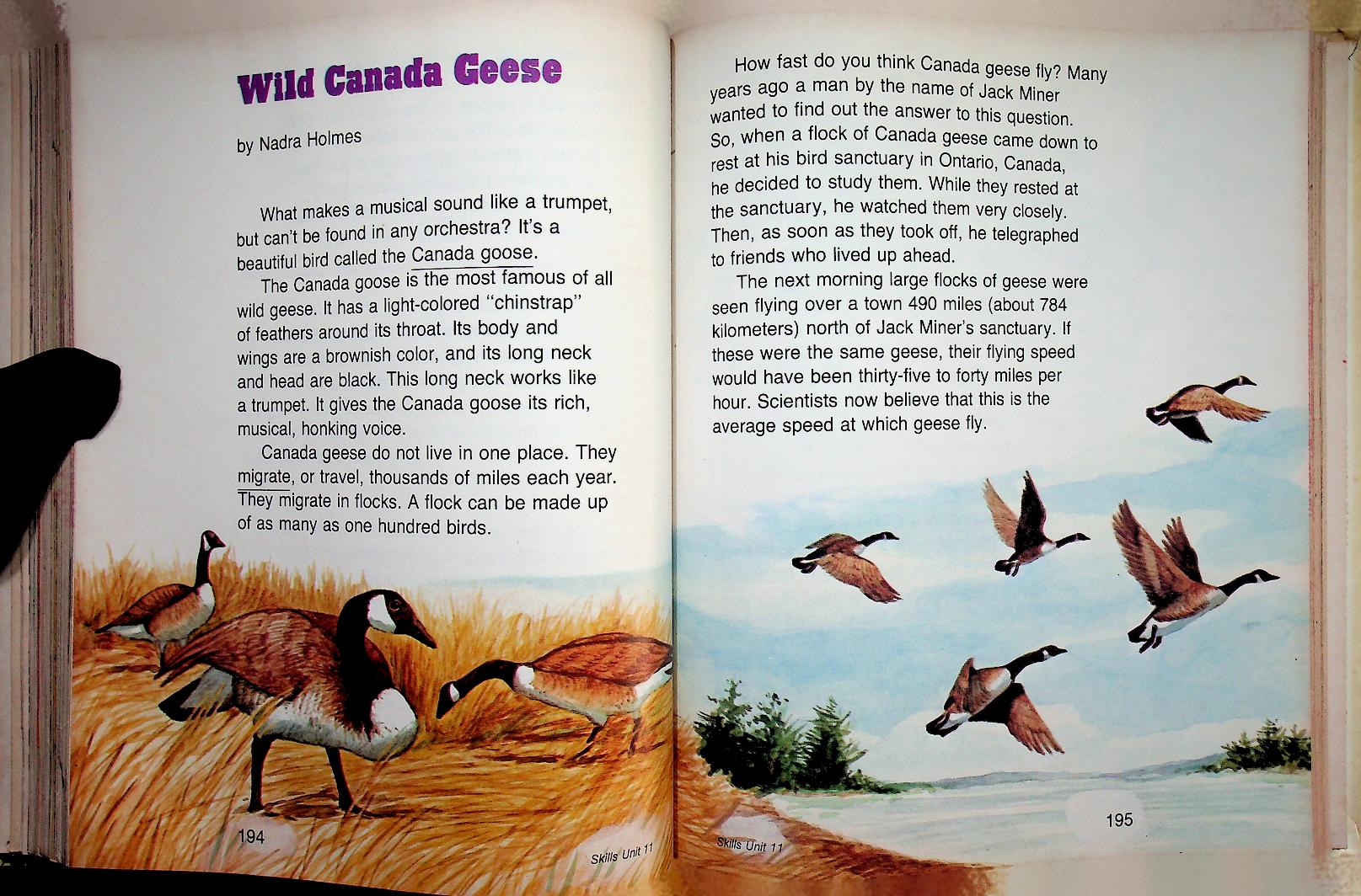 Scott, Foresman Reading : Hidden Wonders