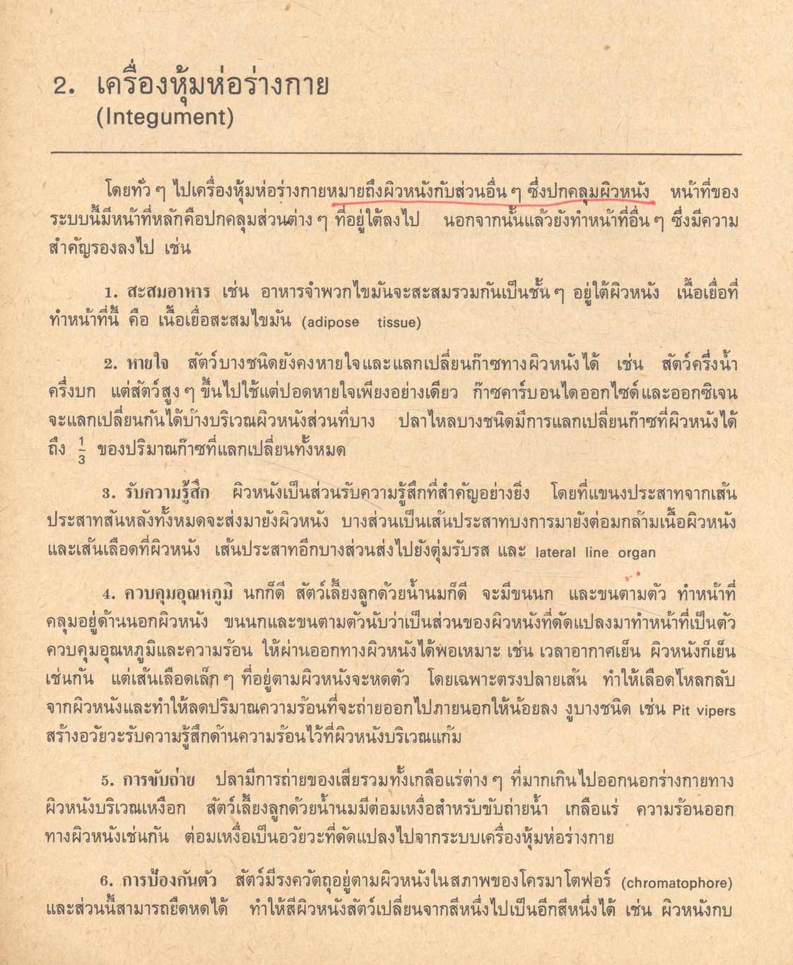 กายวิภาคศาสตร์เปรียบเทียบของคอร์เดต