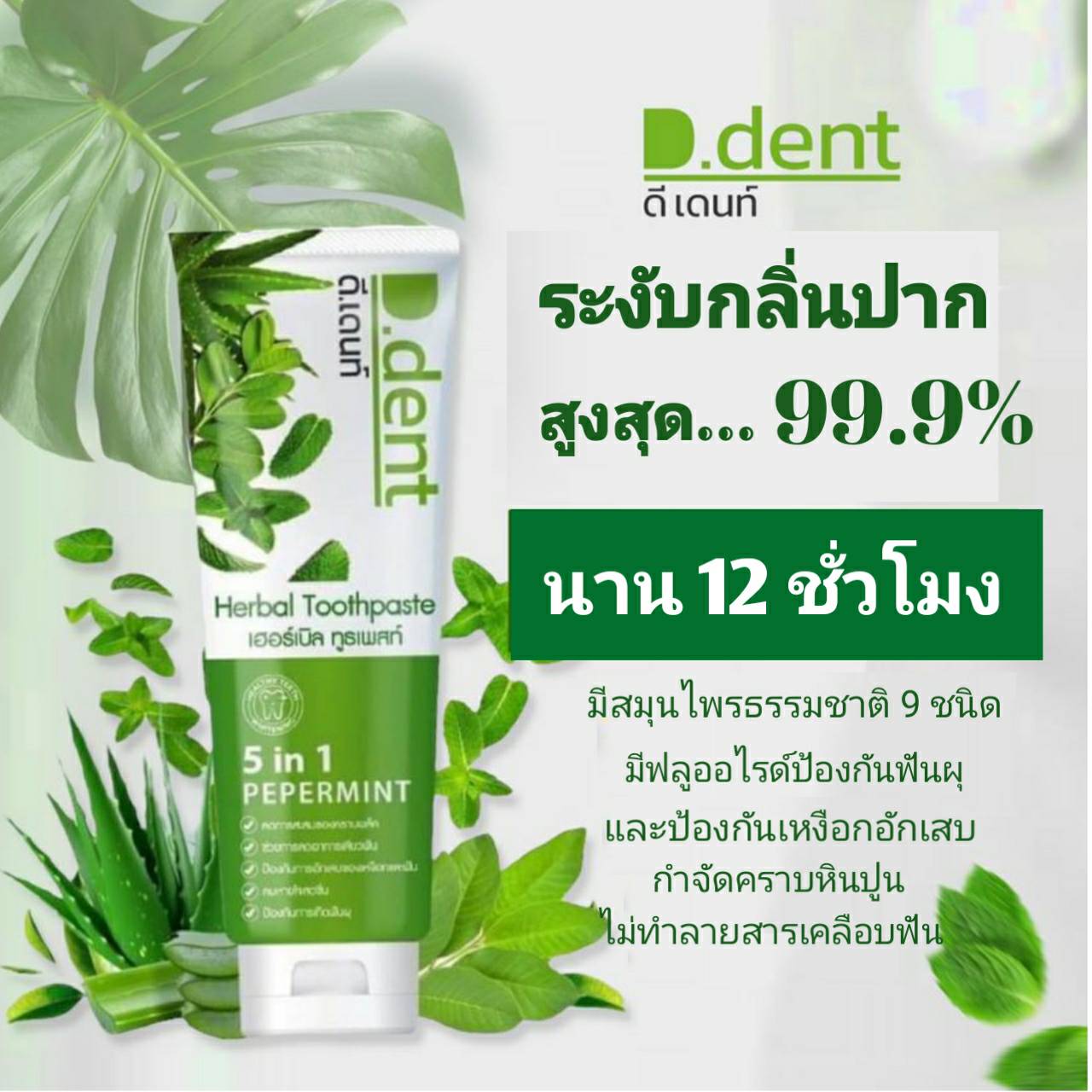 ยาสีฟัน ดีเดนท์ D.Dent ยาสีฟันสมุนไพร5in1 สูตรเปปเปอร์มิ้นต์1แถม1