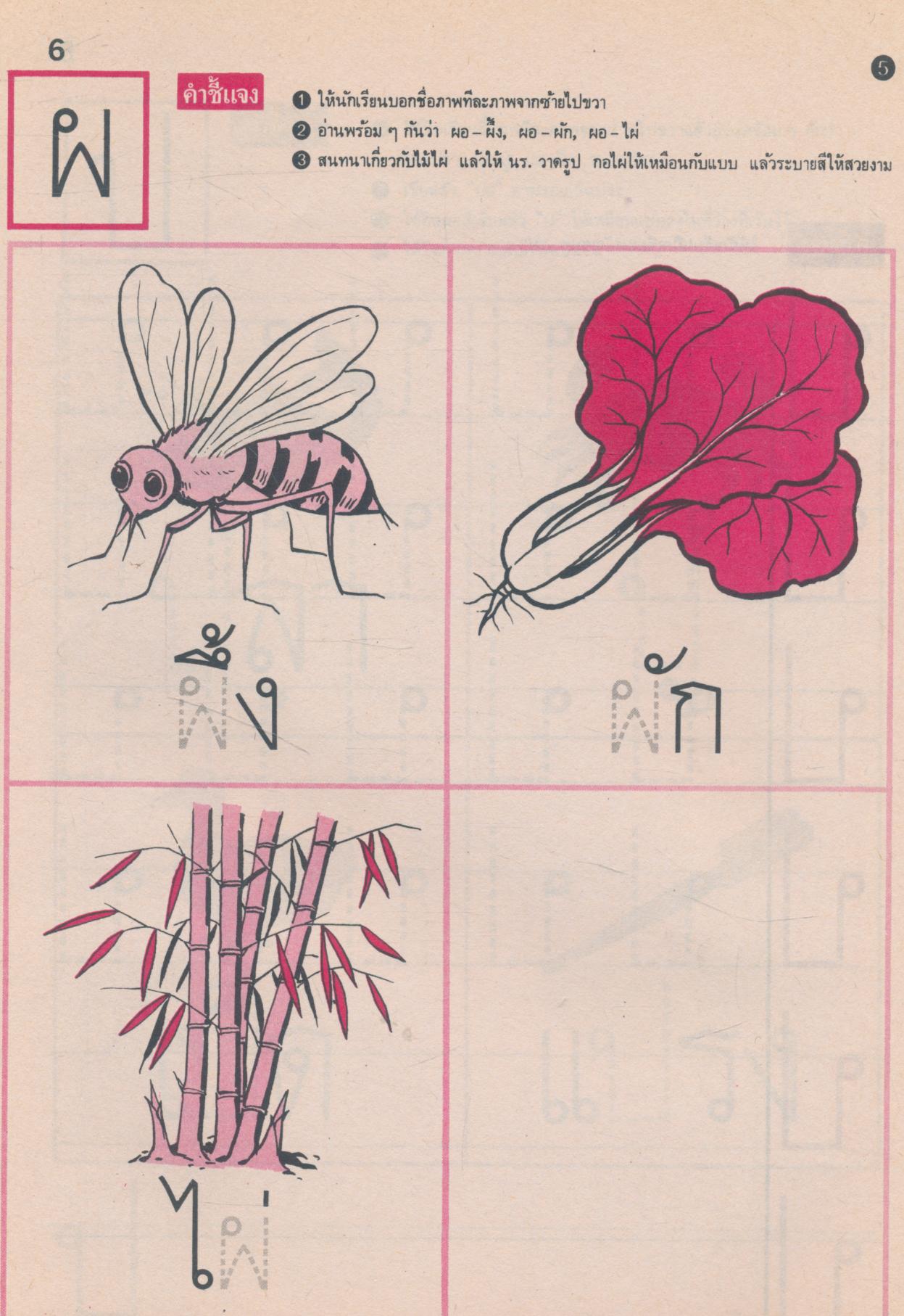 แบบฝึกหัด-ทดสอบ: พยัญชนะไทย ทักษะการอ่านและเขียน ชั้นอนุบาลปีที่ 1 เทอมปลาย