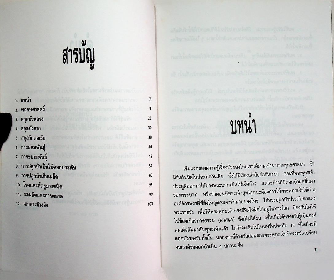 การปลูกบัว