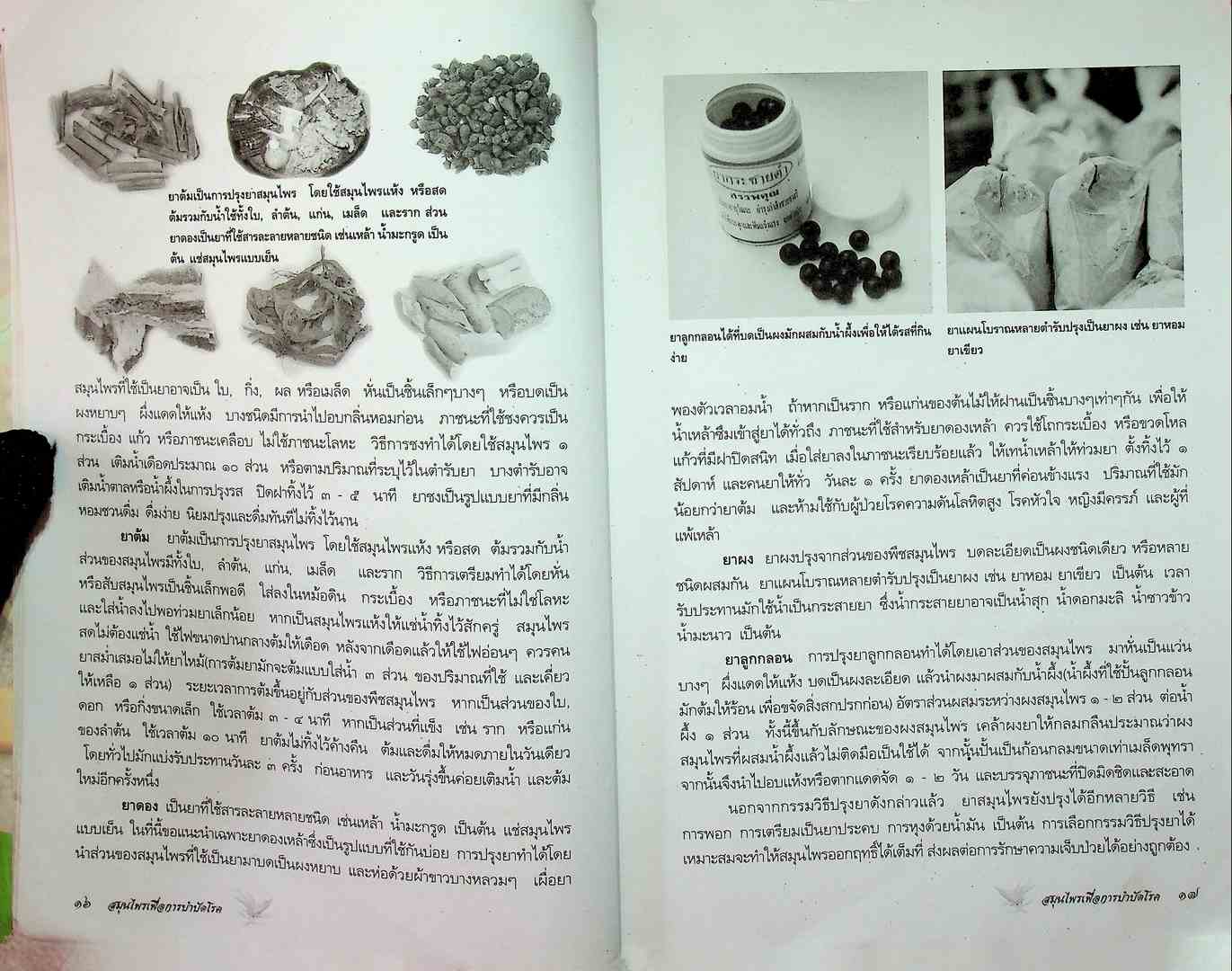 สมุนไพรเพื่อการบำบัดโรค