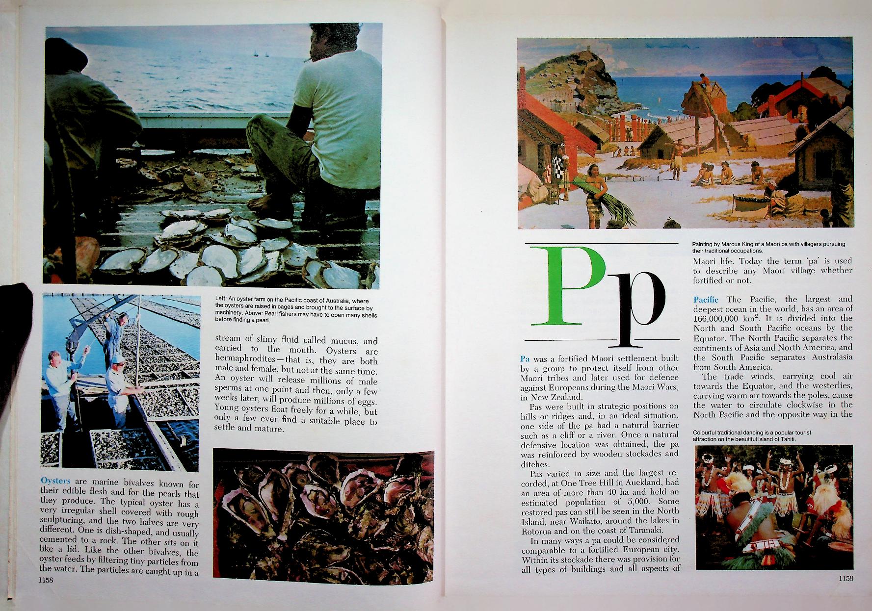 The 21st Century JUNIOR WORLD Encyclopedia 8