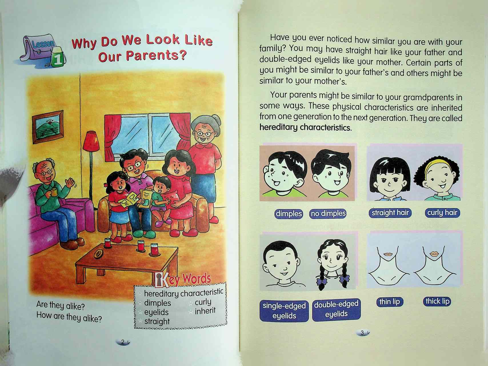 Science Contents of Learning for Science Level 1 Pratomsuksa 3