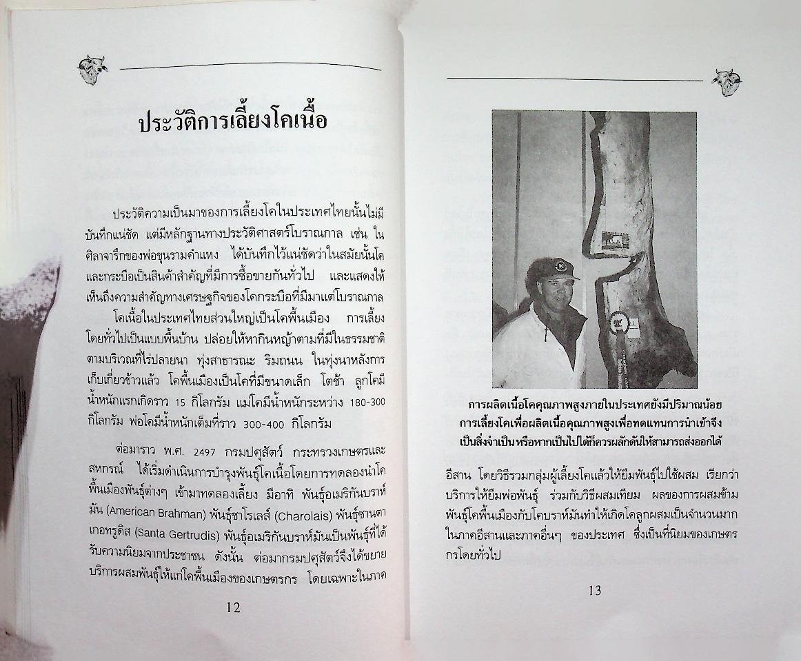 การเลี้ยงโคเนื้อ