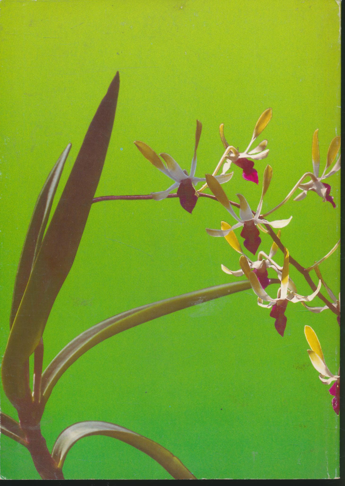 วิชาการวิจักษณ์