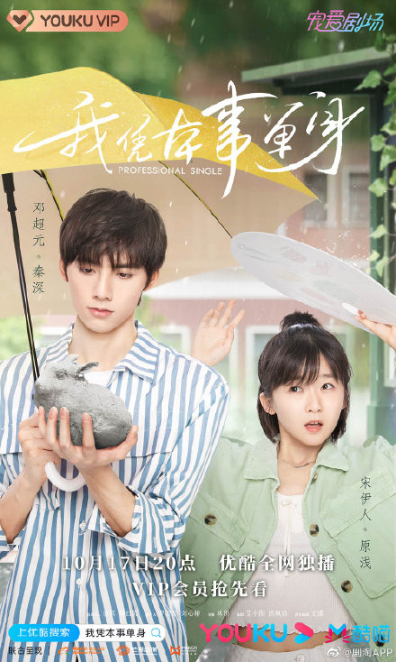 Professional Single (2020) โสดฉบับมืออาชีพ (ซับไทย) DVD 5 แผ่นจบ.