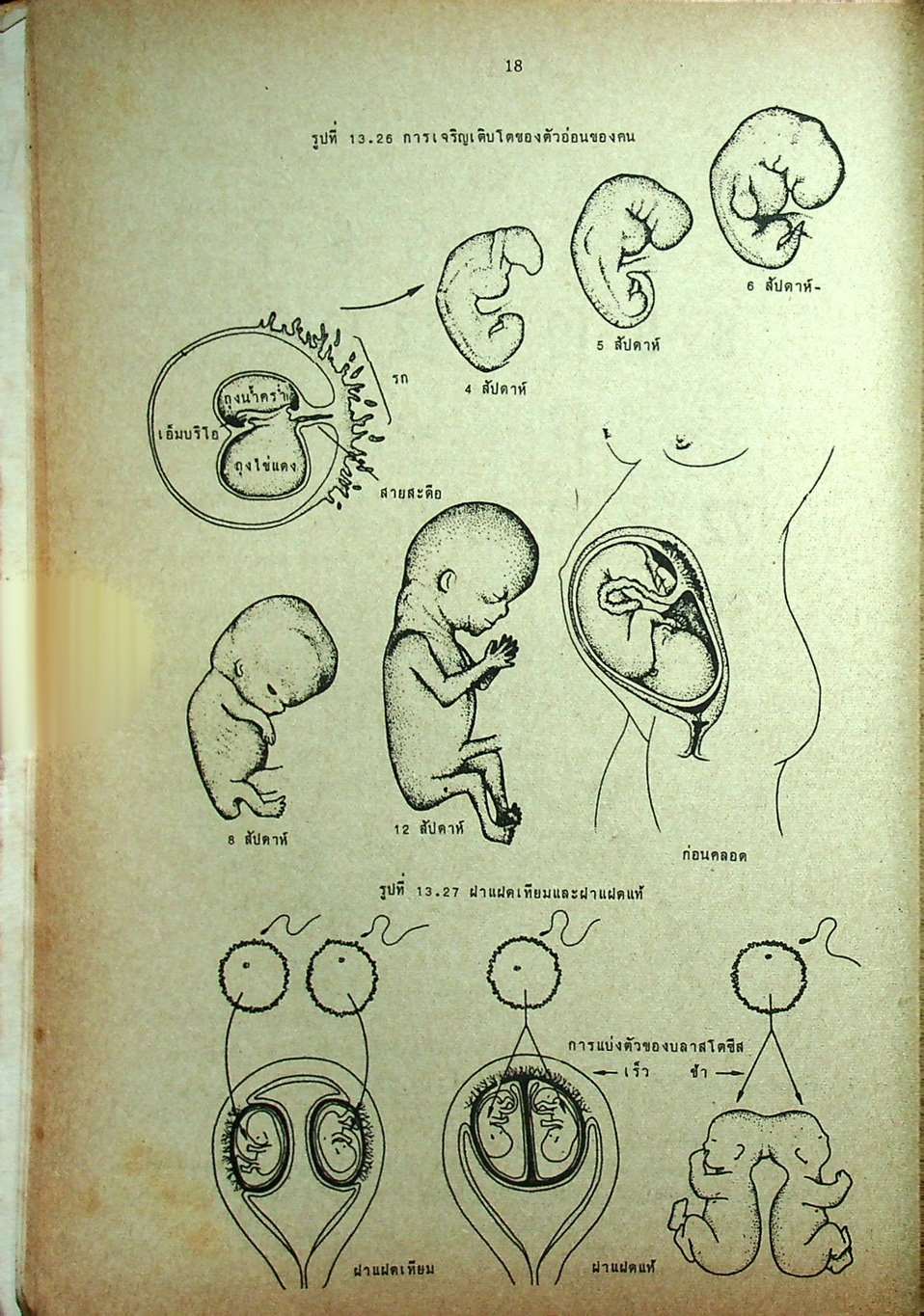 คู่มือ วิทยาศาสตร์ ม.3 เล่ม 5-6 ว.305,306 ปรับปรุงใหม่ สมบูรณ์ที่สุด
