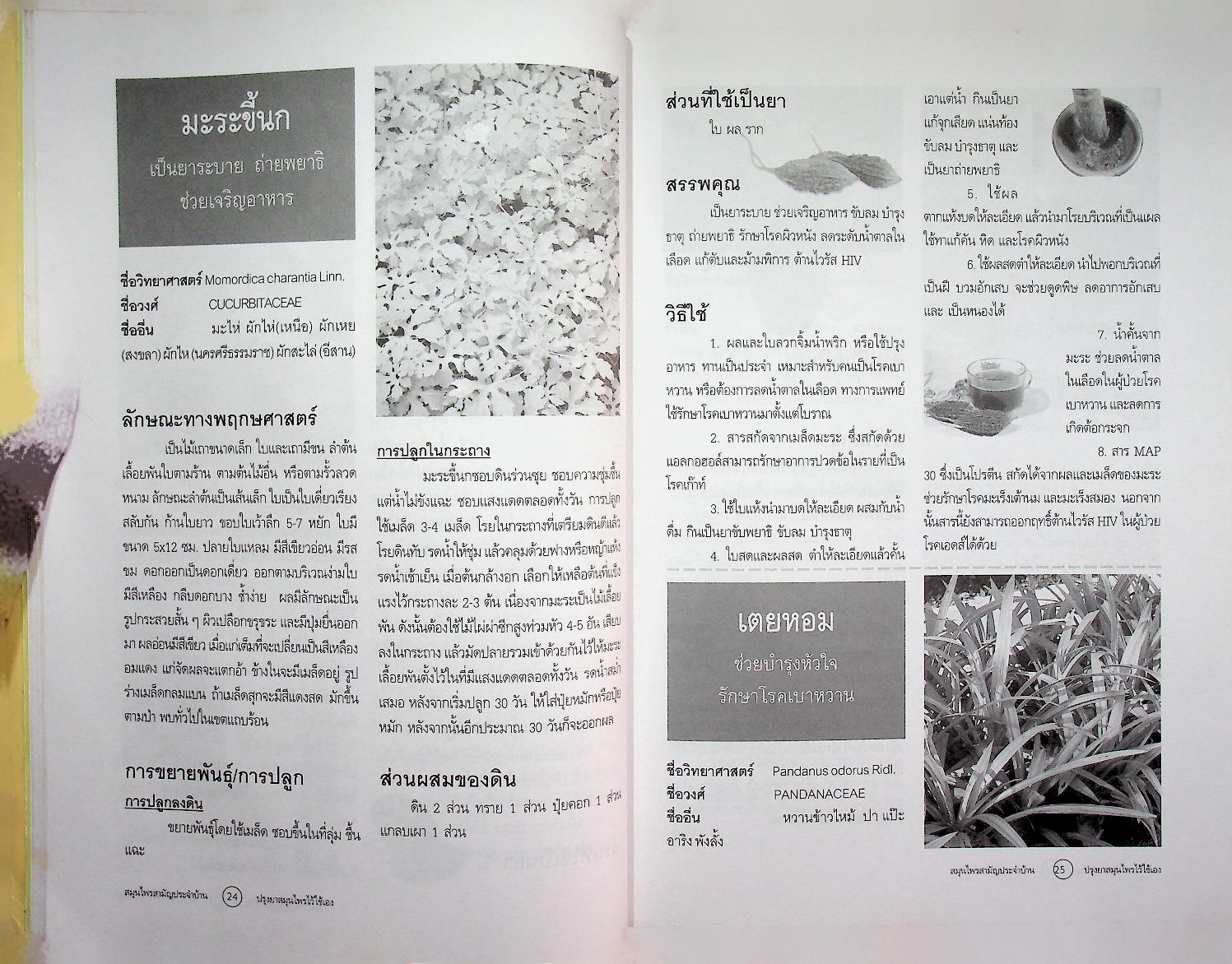 คู่มือพึ่งตนเอง สมุนไพรสามัญประจำบ้าน ปรุงยาสมุนไพรไว้ใช้เอง