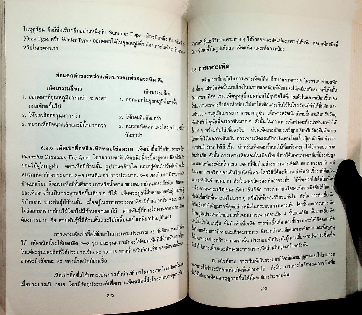 ผักและผลิตภัณฑ์ ปีที่ 9 ฉบับที่ 1/2531