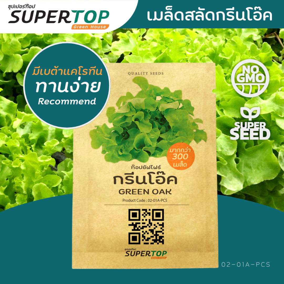 เมล็ดพันธุ์ผักสลัดออร์แกนิก RAILUNGTOP | เก็บจากฝัก สดจากไร่ลุงท๊อป ออร์แกนิก
