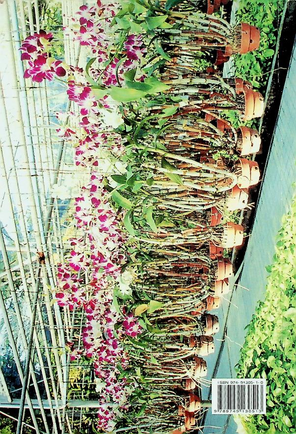 กล้วยไม้