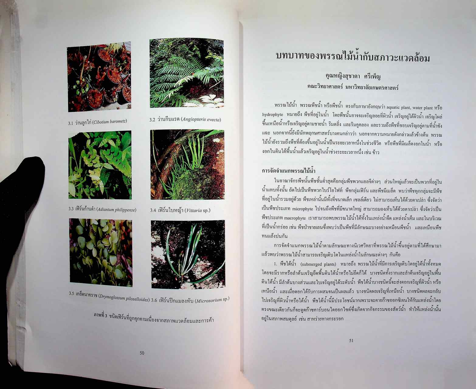 แนวทางในการศึกษาความหลากหลายทางชีวภาพ