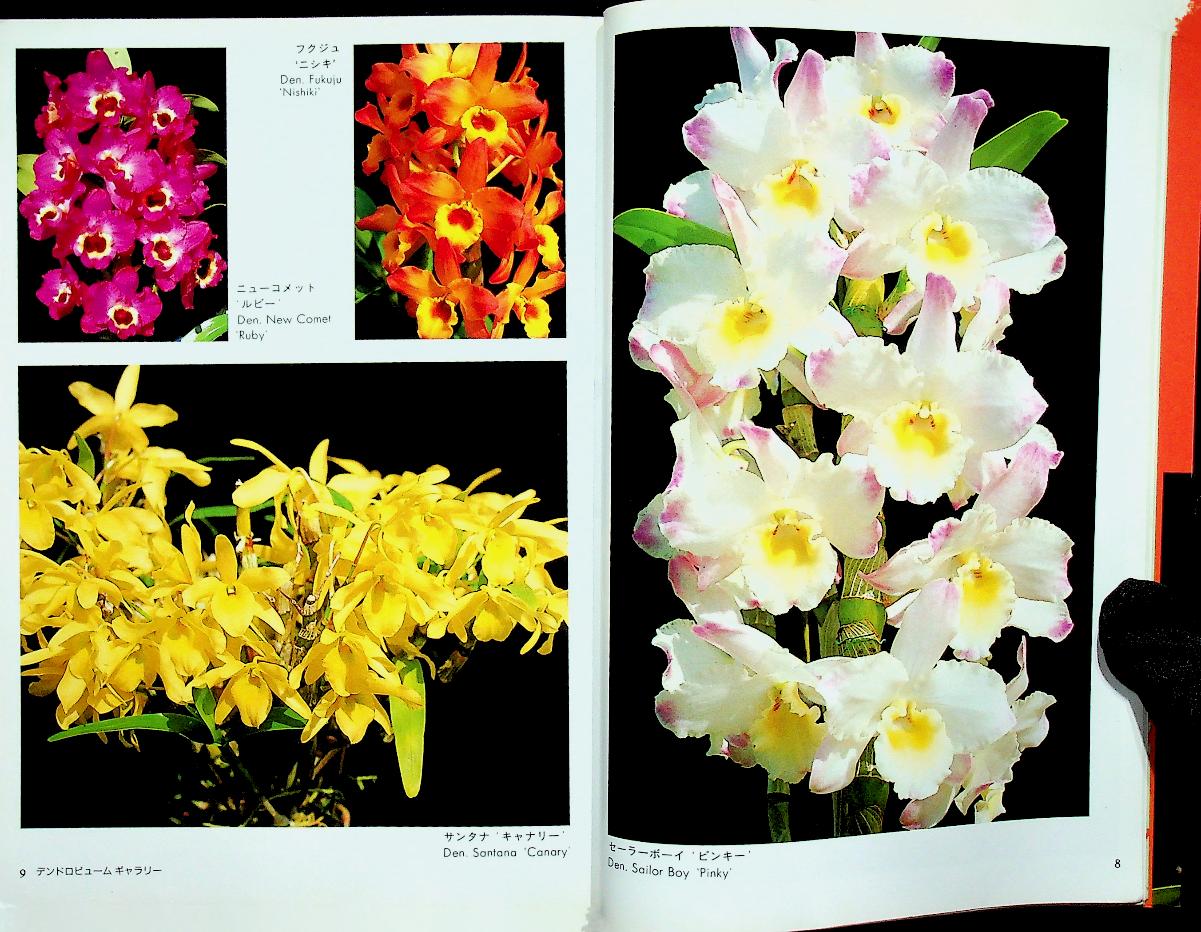 JOYFUL GREEN LIFE : Dendrobium (ดอกกล้วยไม้หวาย ฉบับภาษาญี่ปุ่น)