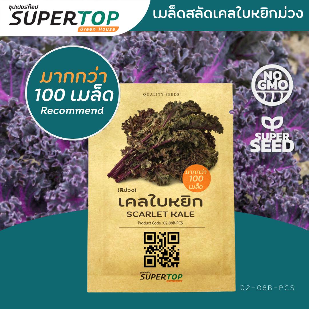 เมล็ดพันธุ์ผักสลัดออร์แกนิก RAILUNGTOP | เก็บจากฝัก สดจากไร่ลุงท๊อป ออร์แกนิก